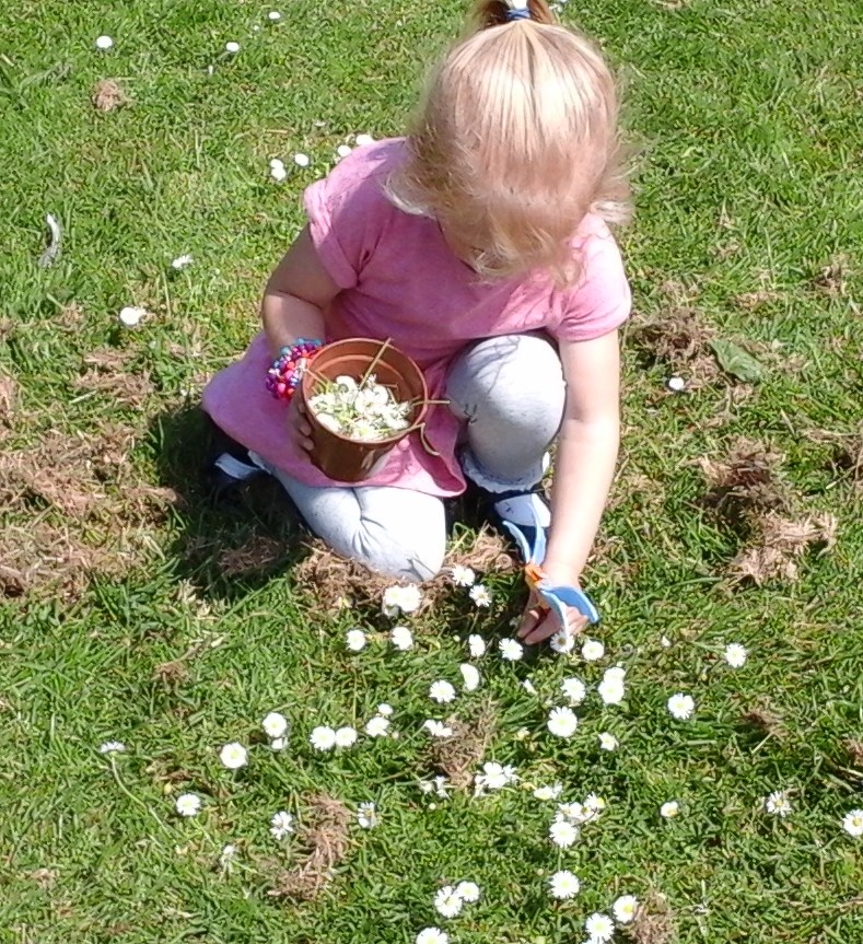 Picking Flowers